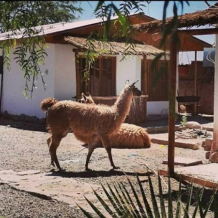 Cabanas Voyage Atacama San Pedro de Atacama Bagian luar foto