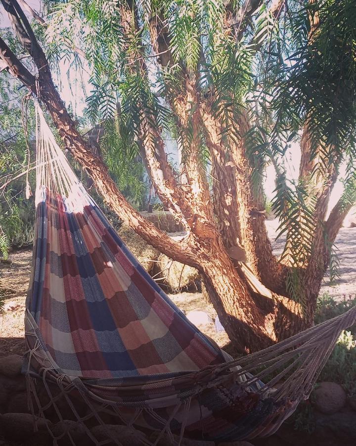 Cabanas Voyage Atacama San Pedro de Atacama Bagian luar foto