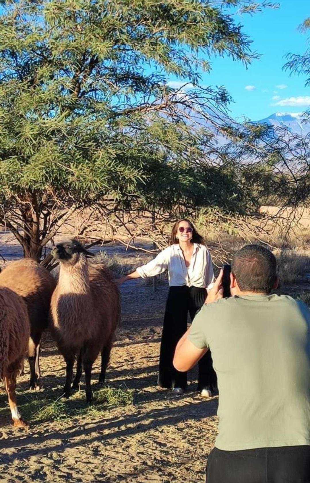 Cabanas Voyage Atacama San Pedro de Atacama Bagian luar foto