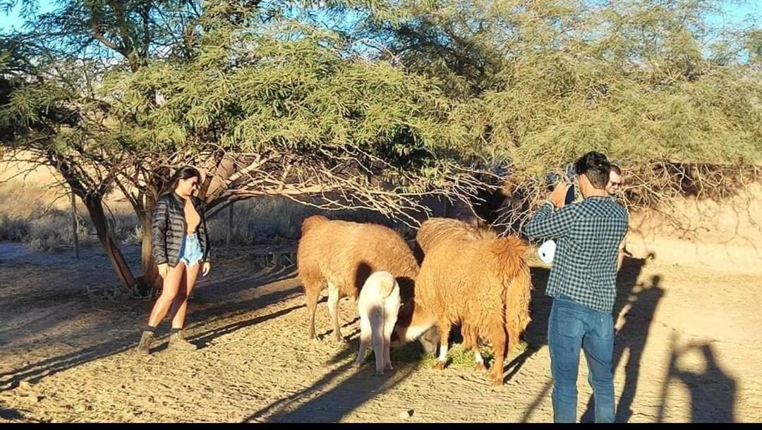 Cabanas Voyage Atacama San Pedro de Atacama Bagian luar foto