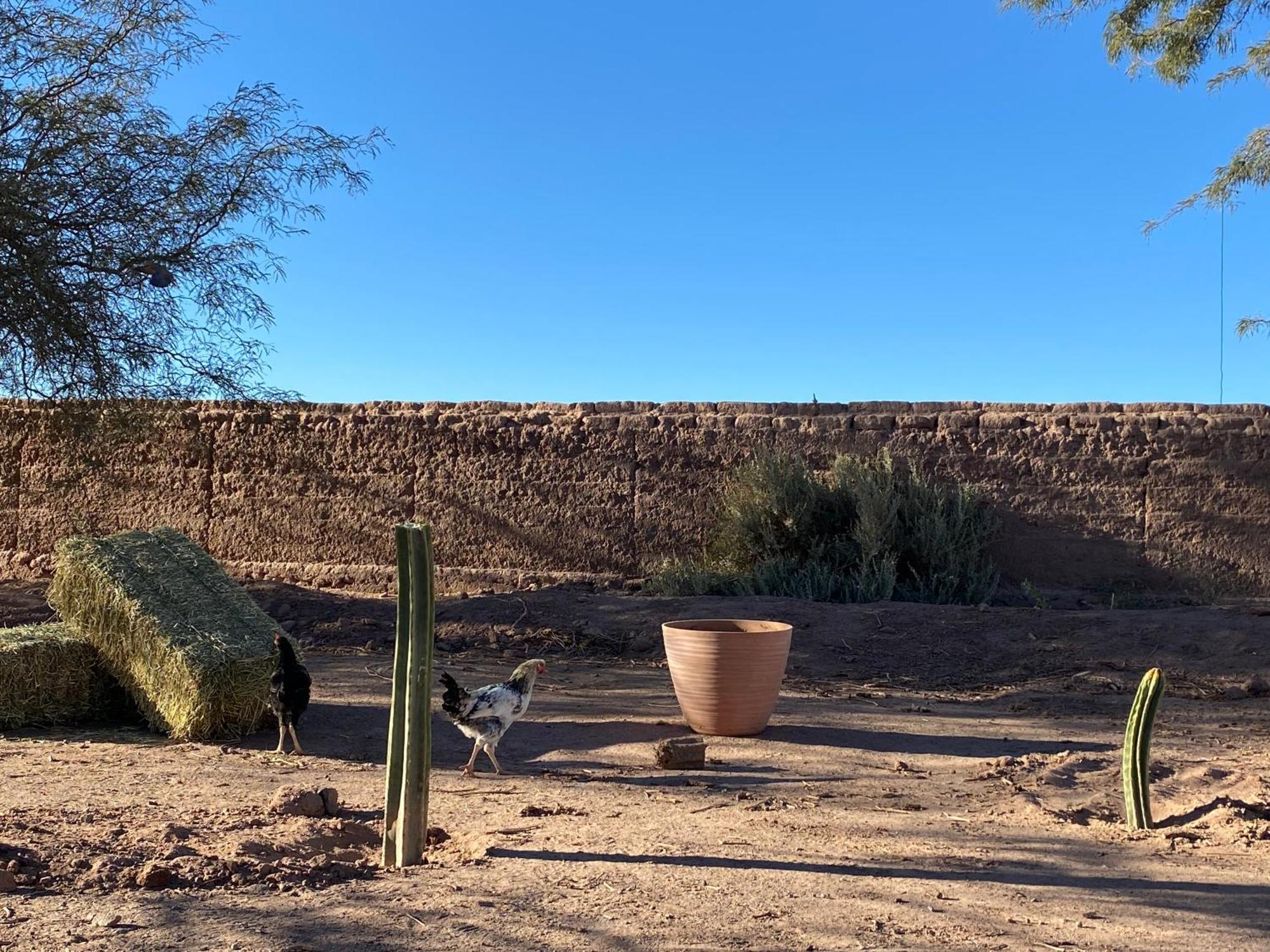 Cabanas Voyage Atacama San Pedro de Atacama Bagian luar foto
