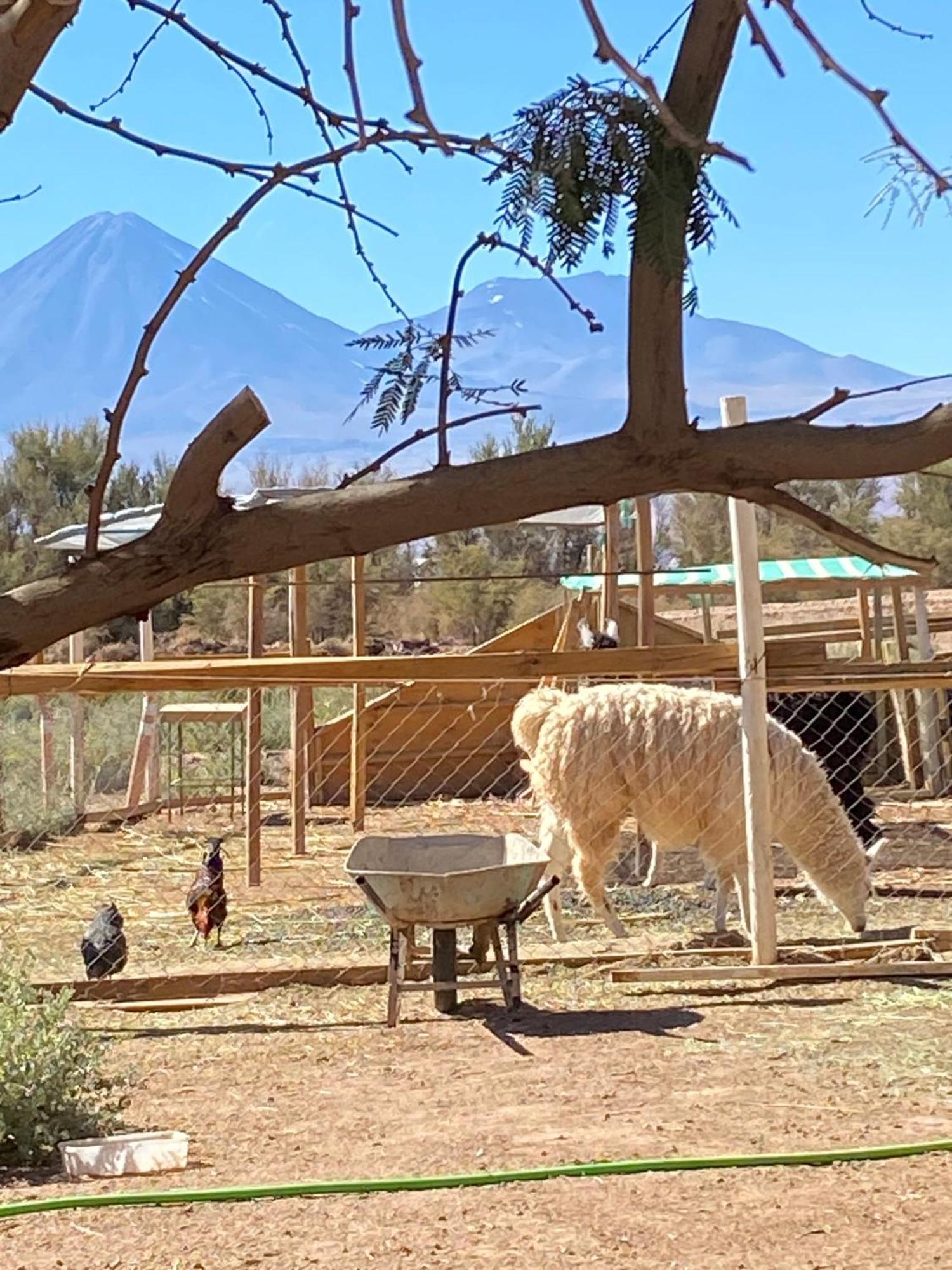 Cabanas Voyage Atacama San Pedro de Atacama Bagian luar foto